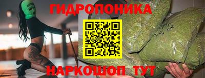 ешки Гай