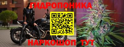 ешки Гай