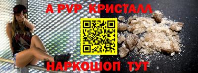 ешки Гай
