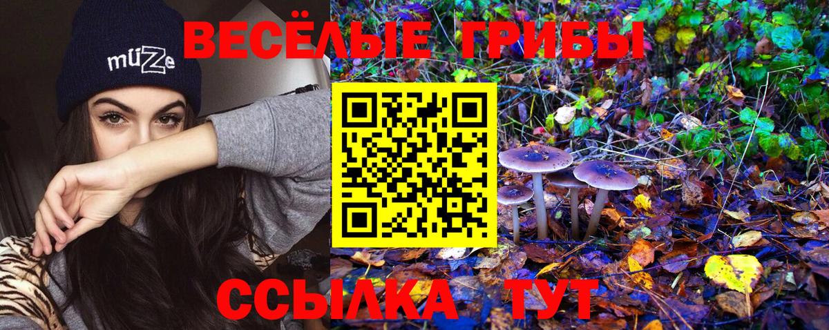 Псилоцибиновые грибы Magic Shrooms  Вход с VPN  Набережные Челны 