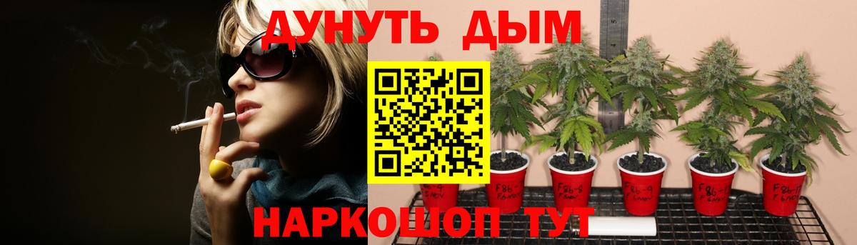 Конопля планчик  Вход с VPN  Канабис ГИДРОПОН  Бошки Шишки VHQ  Бошки марихуана гибрид  Набережные Челны 